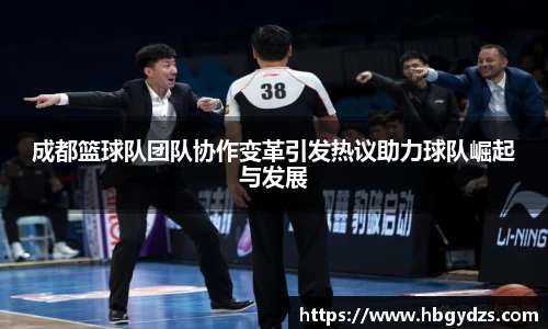 成都篮球队团队协作变革引发热议助力球队崛起与发展